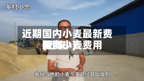 近期国内小麦最新费用(近来国内小麦费用是多少)