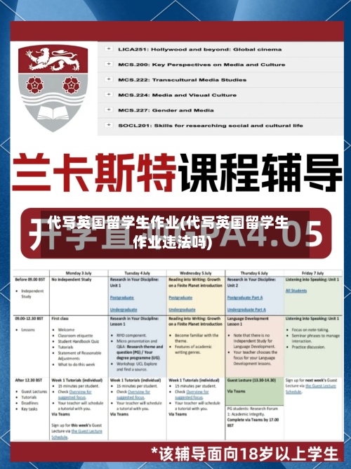 代写英国留学生作业(代写英国留学生作业违法吗)
