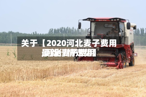 关于【2020河北麦子费用
,河北麦子费用
最新行情走势】-第2张图片
