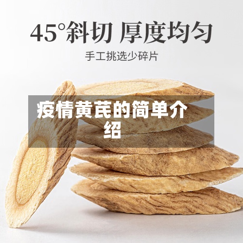 疫情黄芪的简单介绍