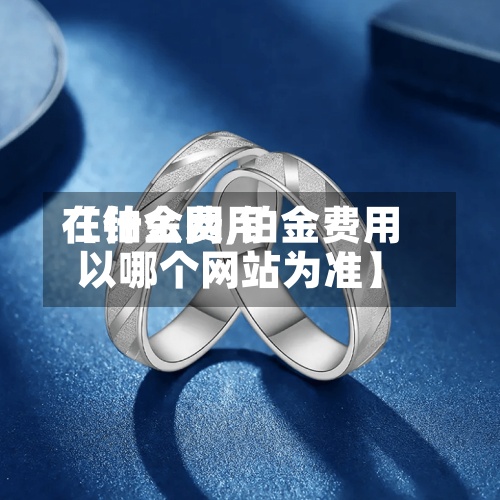 【铂金费用在什么网,铂金费用以哪个网站为准】