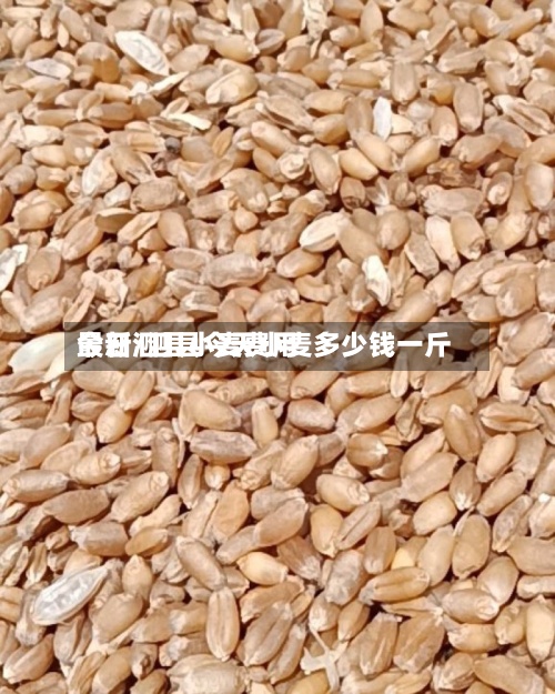 今日泗县小麦费用最新/泗县今天小麦多少钱一斤