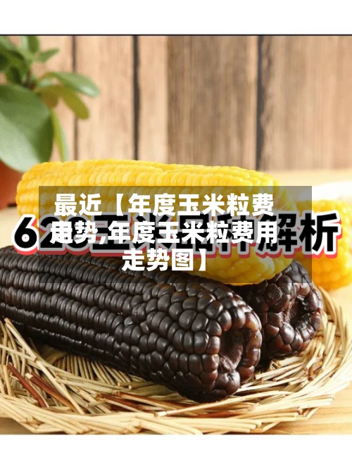 最近【年度玉米粒费用
走势,年度玉米粒费用
走势图】-第2张图片