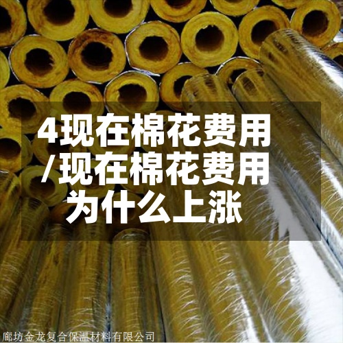 4现在棉花费用/现在棉花费用为什么上涨-第3张图片