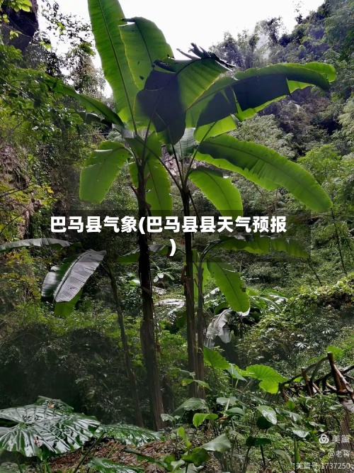 巴马县气象(巴马县县天气预报)-第3张图片