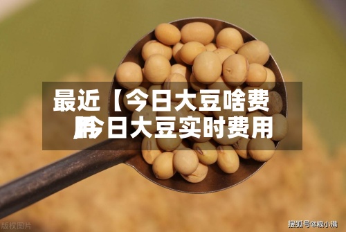 最近【今日大豆啥费用,今日大豆实时费用】-第2张图片