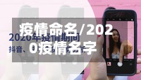 疫情命名/2020疫情名字