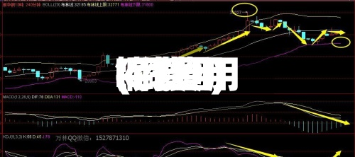 铜费用
(铜费用
k线图)-第3张图片