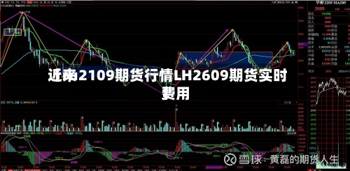 近来
【ru2109期货行情LH2609期货实时费用
】-第2张图片