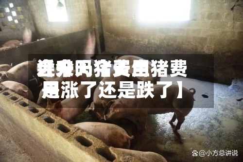 近来
【今天猪费用
会升吗今天生猪费用
是涨了还是跌了】-第2张图片