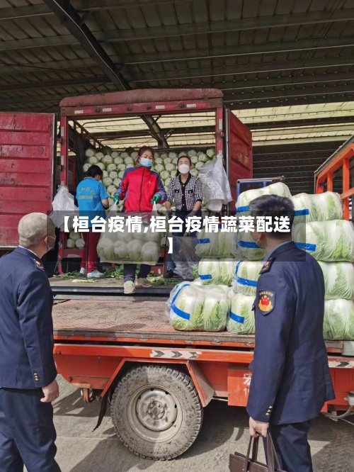 【桓台疫情,桓台疫情蔬菜配送】