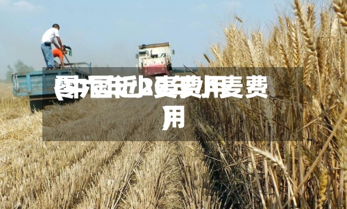零六年小麦费用
(中国近20年小麦费用
)-第2张图片