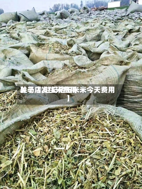 关于【发生米费用驻马店,驻马店玉米米今天费用】-第2张图片
