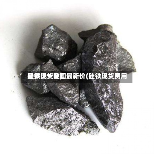 硅铁现货全国最新价(硅铁现货费用是多少一吨)
