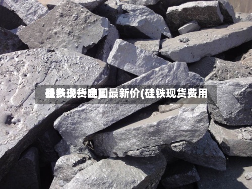 硅铁现货全国最新价(硅铁现货费用
是多少一吨)-第2张图片
