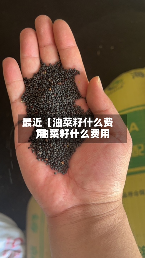 最近【油菜籽什么费用
,油菜籽什么费用
?】-第2张图片