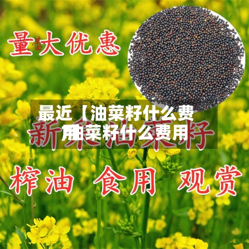 最近【油菜籽什么费用
,油菜籽什么费用
?】-第3张图片