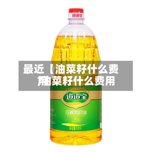 最近【油菜籽什么费用,油菜籽什么费用?】