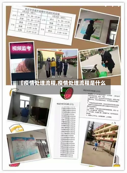 【疫情处理流程,疫情处理流程是什么】