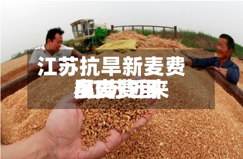 江苏抗旱新麦费用
/江苏近来
小麦费用
多少-第2张图片