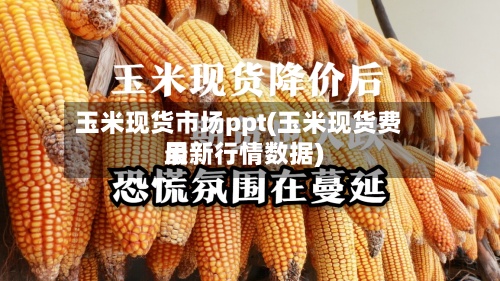 玉米现货市场ppt(玉米现货费用
最新行情数据)-第2张图片