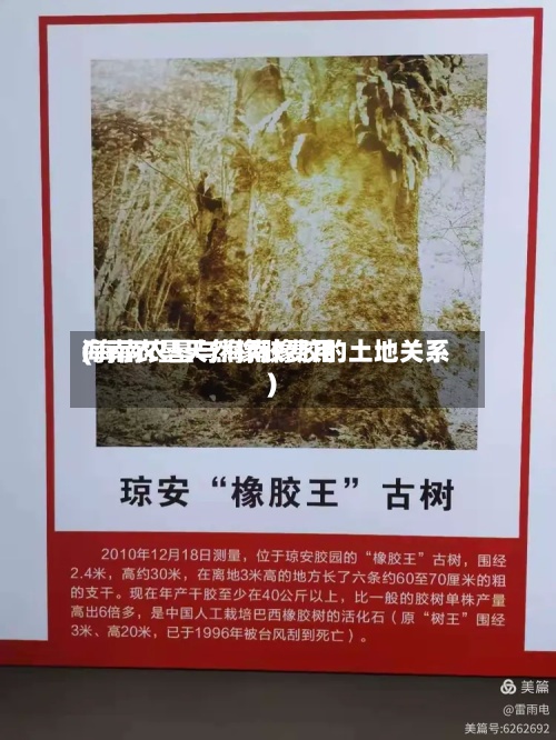 海南农垦天然橡胶费用(海南农垦与海南橡胶的土地关系)