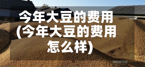 今年大豆的费用(今年大豆的费用怎么样)