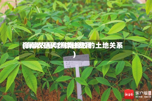 海南农垦天然橡胶费用
(海南农垦与海南橡胶的土地关系)-第3张图片