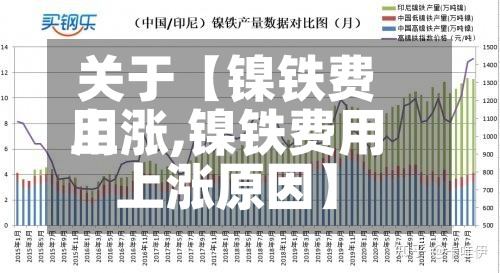 关于【镍铁费用上涨,镍铁费用上涨原因】