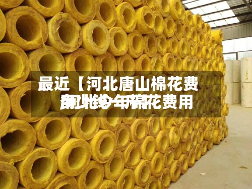 最近【河北唐山棉花费用
,河北今年棉花费用
多少钱一斤】-第2张图片