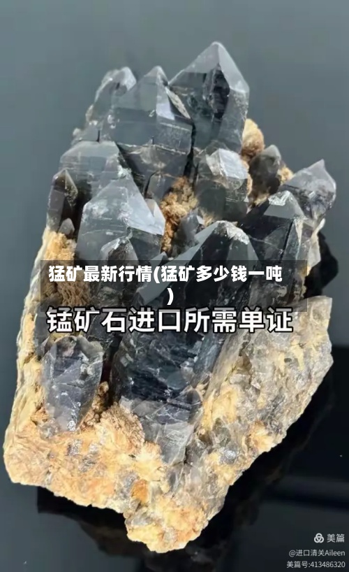 猛矿最新行情(猛矿多少钱一吨)-第2张图片