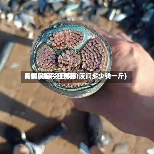 湖南废铜今日费用行情(湖南今日铜价废铜多少钱一斤)