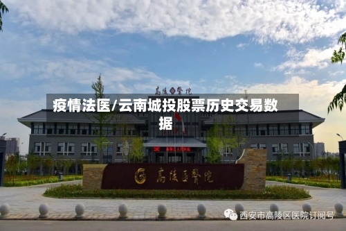 疫情法医/云南城投股票历史交易数据