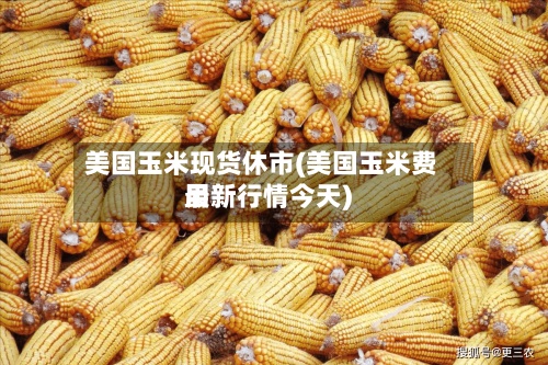 美国玉米现货休市(美国玉米费用
最新行情今天)-第2张图片
