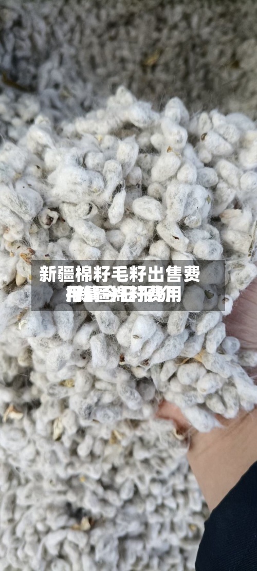新疆棉籽毛籽出售费用
/新疆棉籽费用
行情今日报价-第2张图片