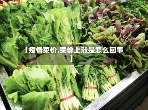 【疫情菜价,菜价上涨是怎么回事】