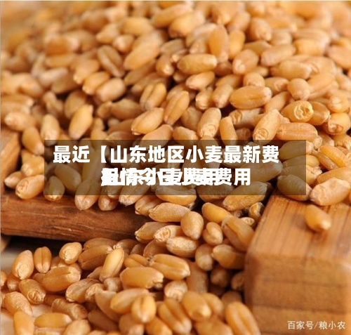 最近【山东地区小麦最新费用,山东小麦费用行情今日小麦费用】-第2张图片
