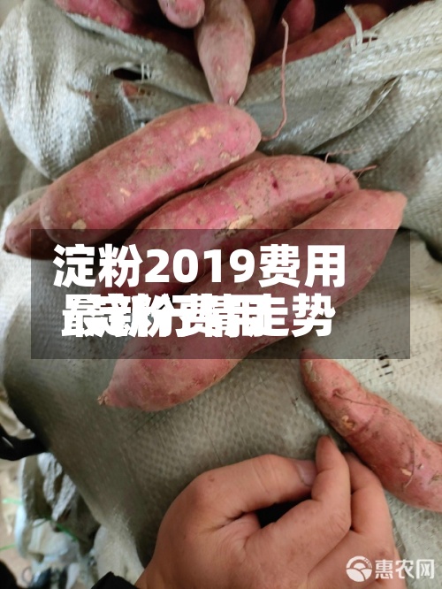 淀粉2019费用/淀粉费用最新行情走势