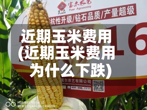 近期玉米费用
(近期玉米费用
为什么下跌)-第2张图片