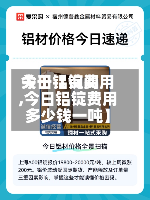 关于【询问
今日铝锭费用
,今日铝锭费用
多少钱一吨】-第3张图片