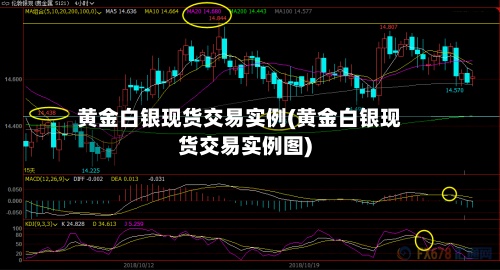 黄金白银现货交易实例(黄金白银现货交易实例图)