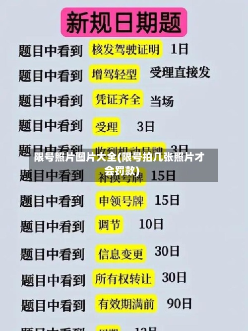 限号照片图片大全(限号拍几张照片才会罚款)