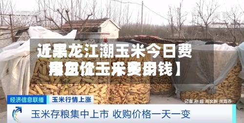 近来【黑龙江潮玉米今日费用黑龙江玉米费用今日价一斤多少钱】