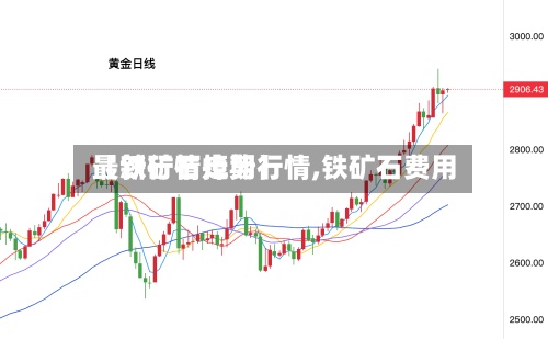 【铁矿石掉期行情,铁矿石费用最新行情走势】