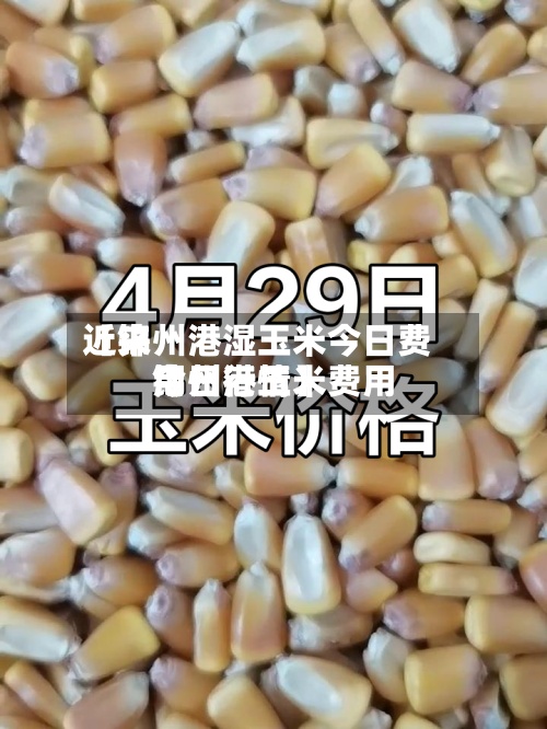 近来【锦州港湿玉米今日费用锦州港玉米费用今日行情】