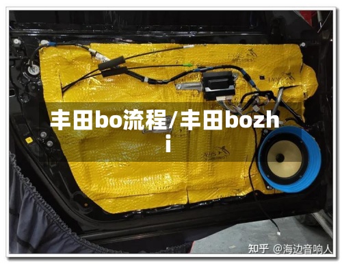 丰田bo流程/丰田bozhi