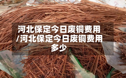 河北保定今日废铜费用
/河北保定今日废铜费用
多少-第2张图片
