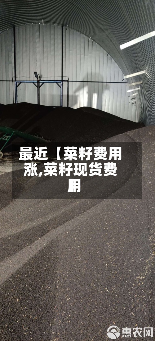 最近【菜籽费用涨,菜籽现货费用】