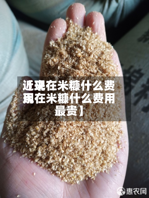 近来
【现在米糠什么费用
现在米糠什么费用
最贵】-第3张图片