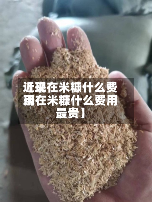 近来【现在米糠什么费用现在米糠什么费用最贵】